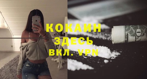соль ск Коряжма
