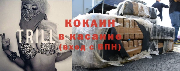 твердый Сатка