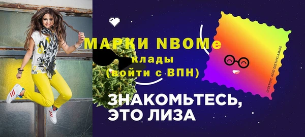 твердый Сатка