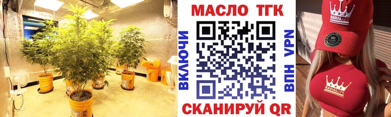 где купить наркоту  Костомукша  Дистиллят ТГК гашишное масло 