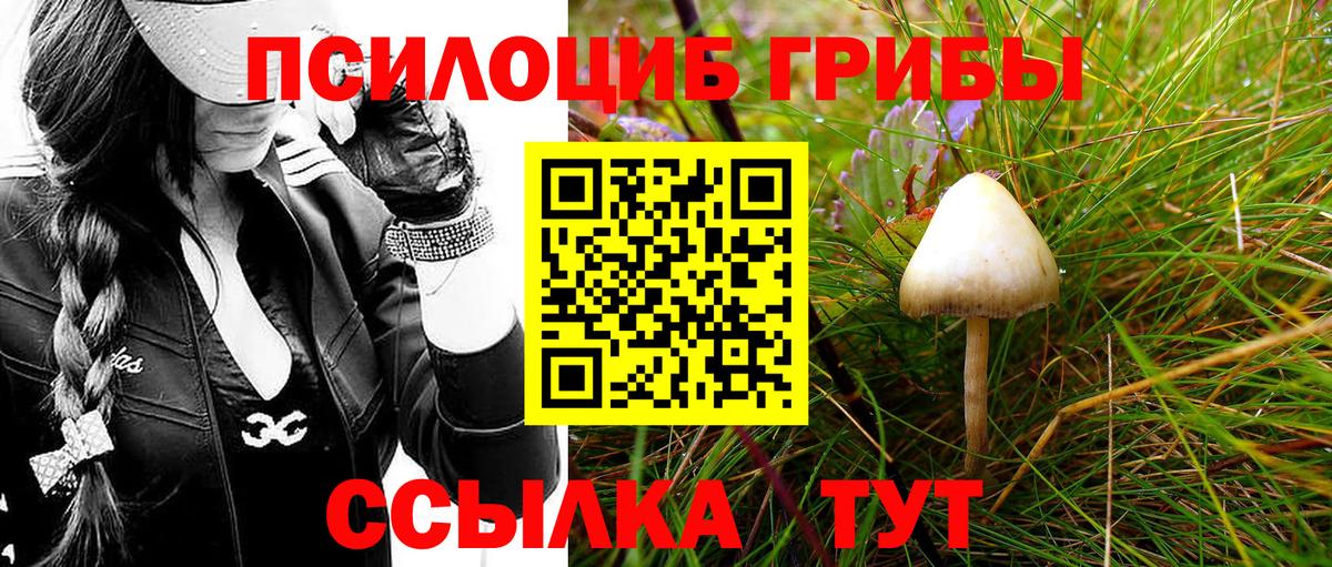 Псилоцибиновые грибы мицелий  Вход с VPN  Костомукша  Галлюциногенные грибы мухоморы 